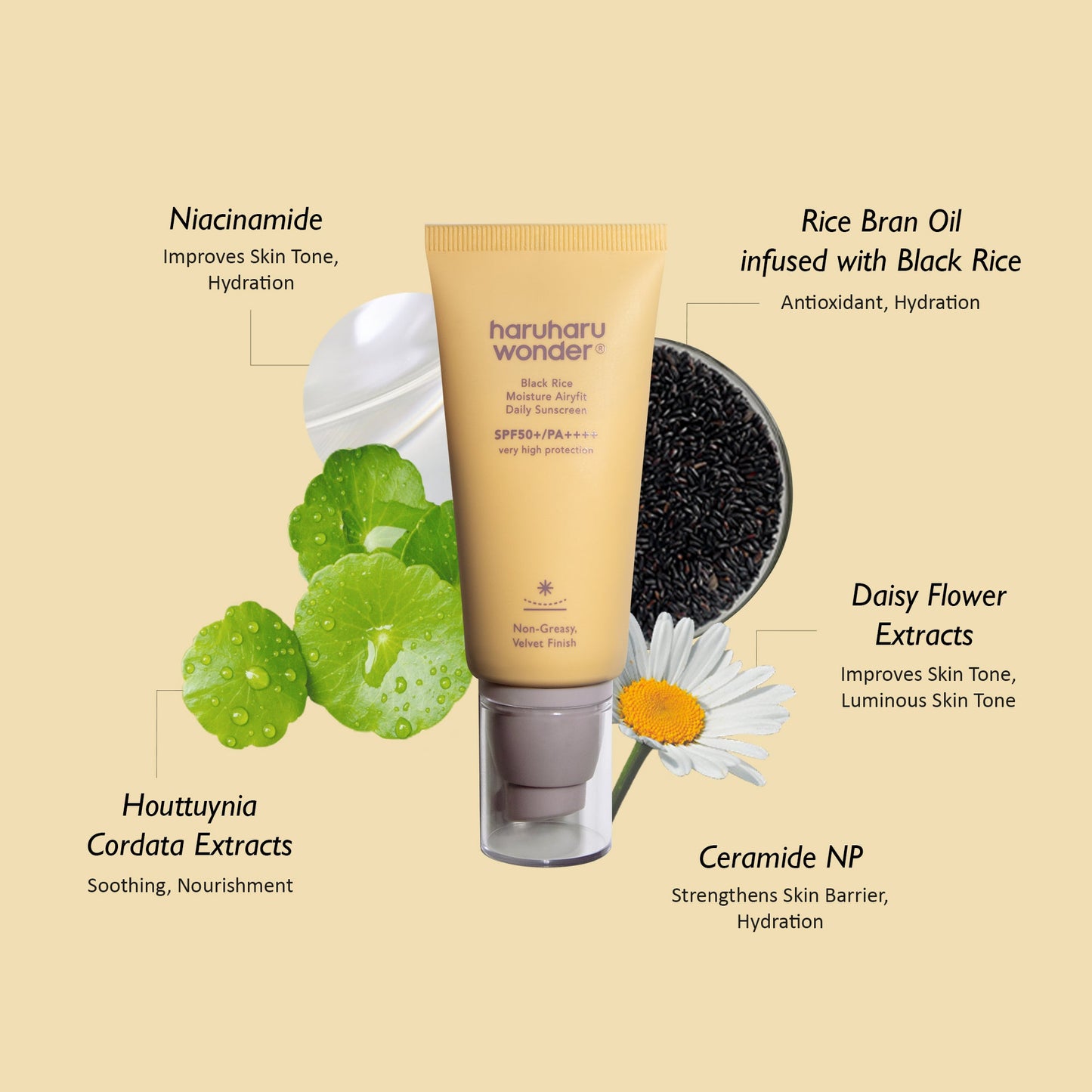 Haru Haru wonder Black rice moisture Airyfit daily sunscreen - spf 50+